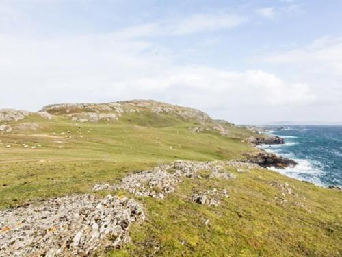 The Beach, Days Bar And B&B Inishbofin Exterior foto